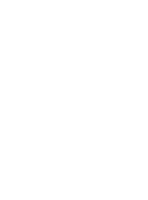 Mirai